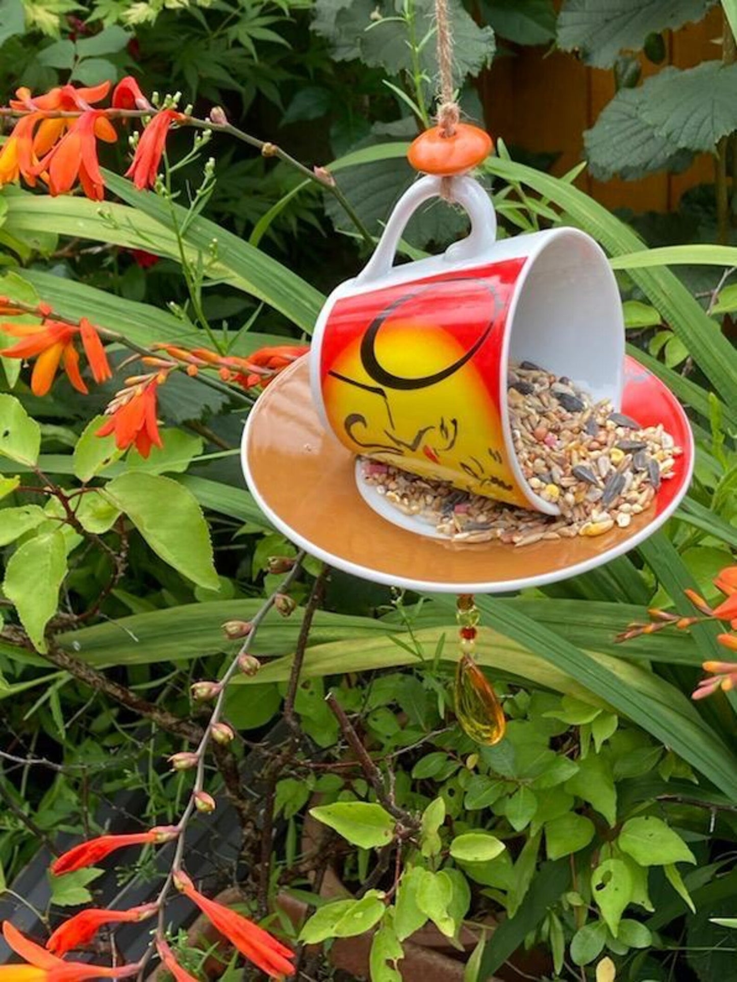 Teacup bird feeders