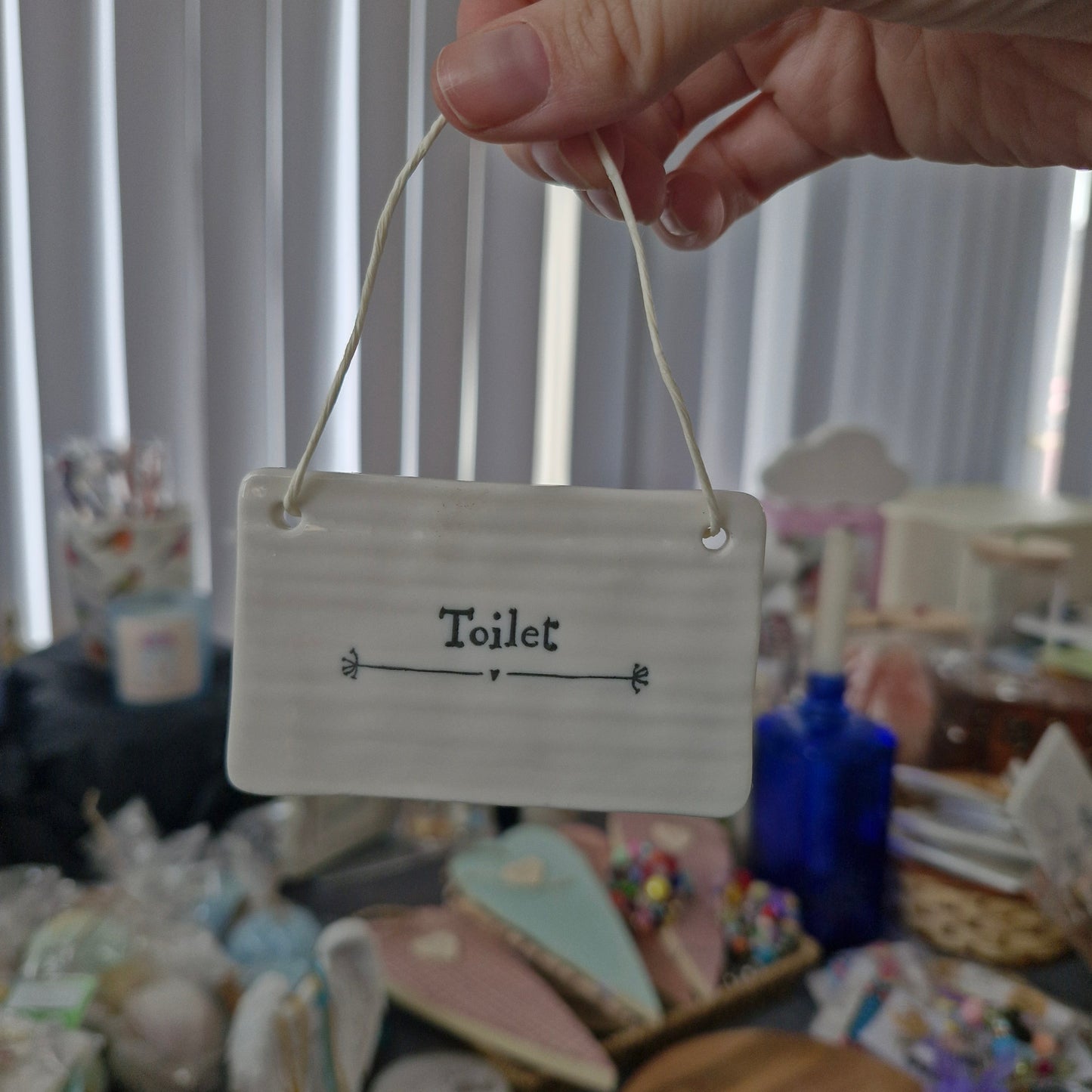 Nursery and Toilet porcelain door signs