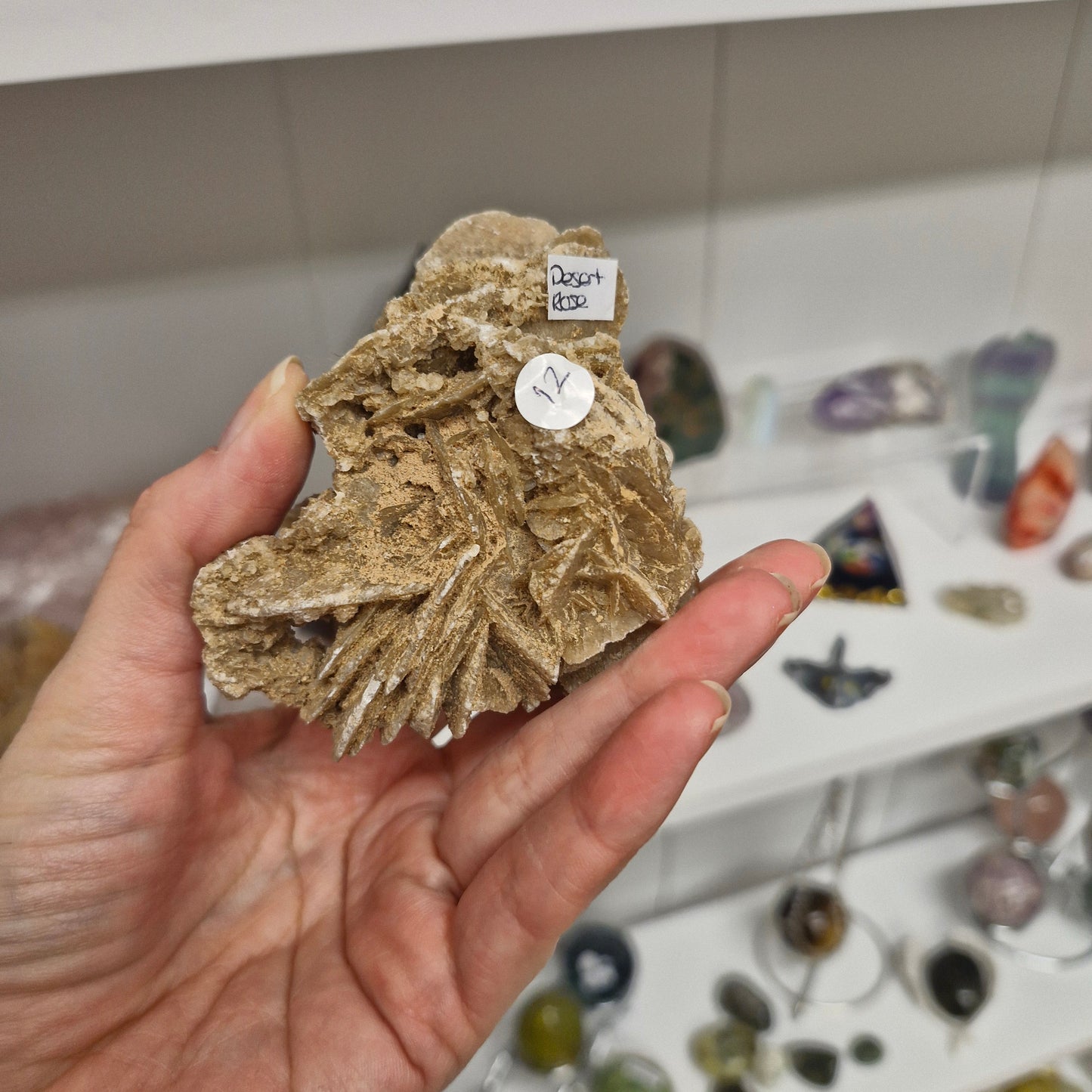 Desert rose 1