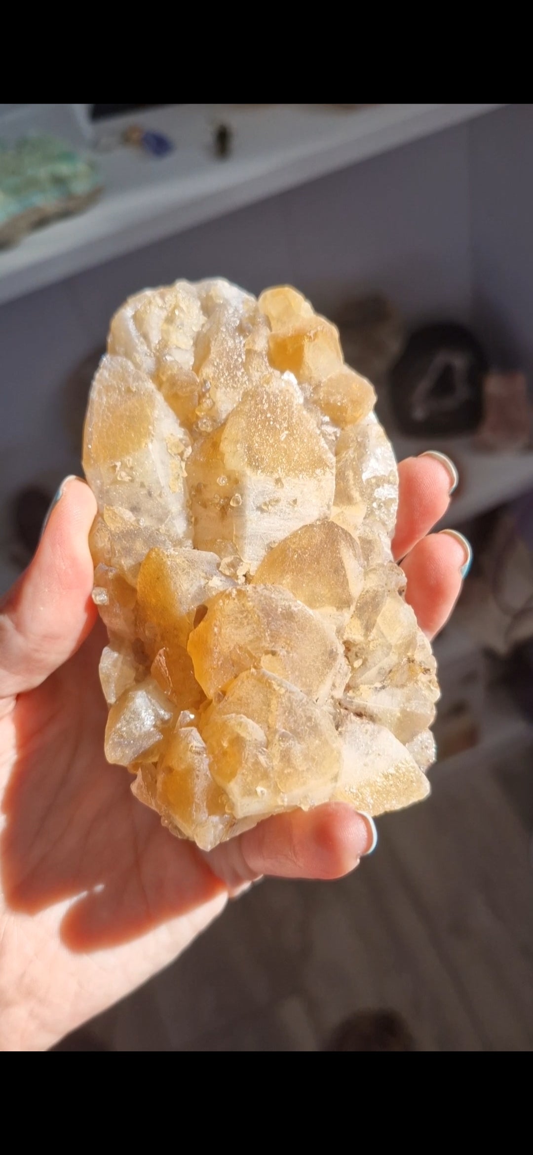 Citrine giant druzy geode