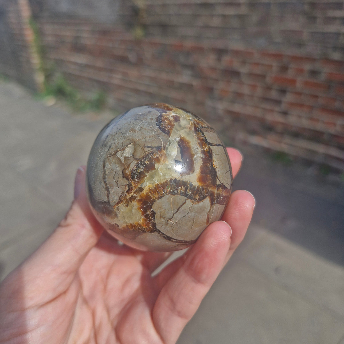 Septarian Sphere 258g 6cm