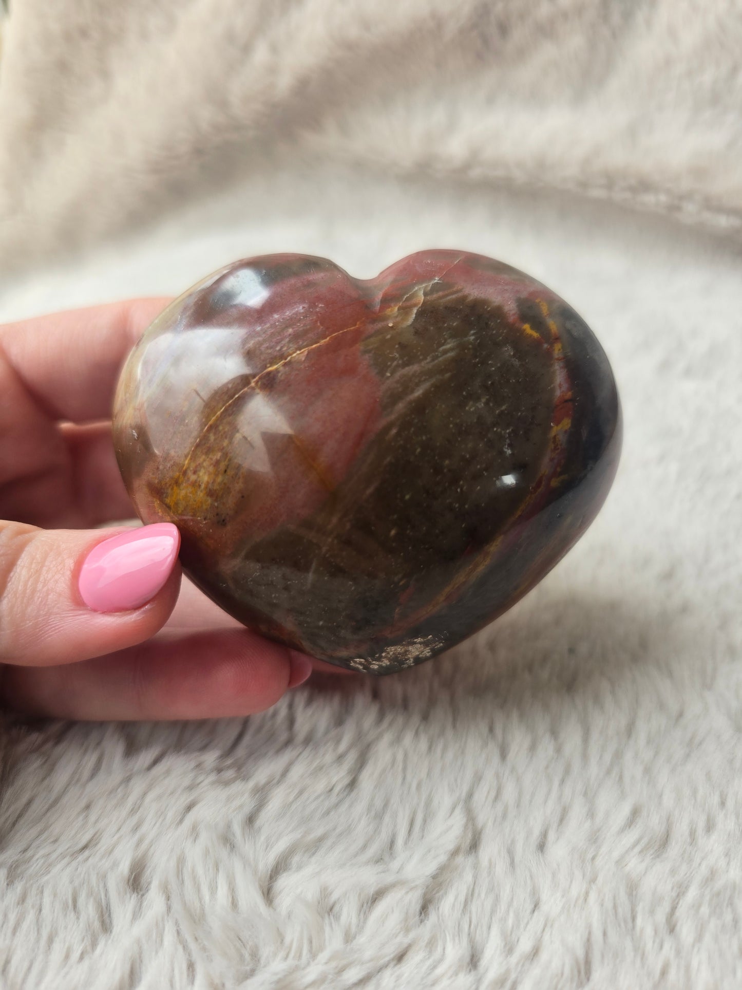 Polished petrified wood heart