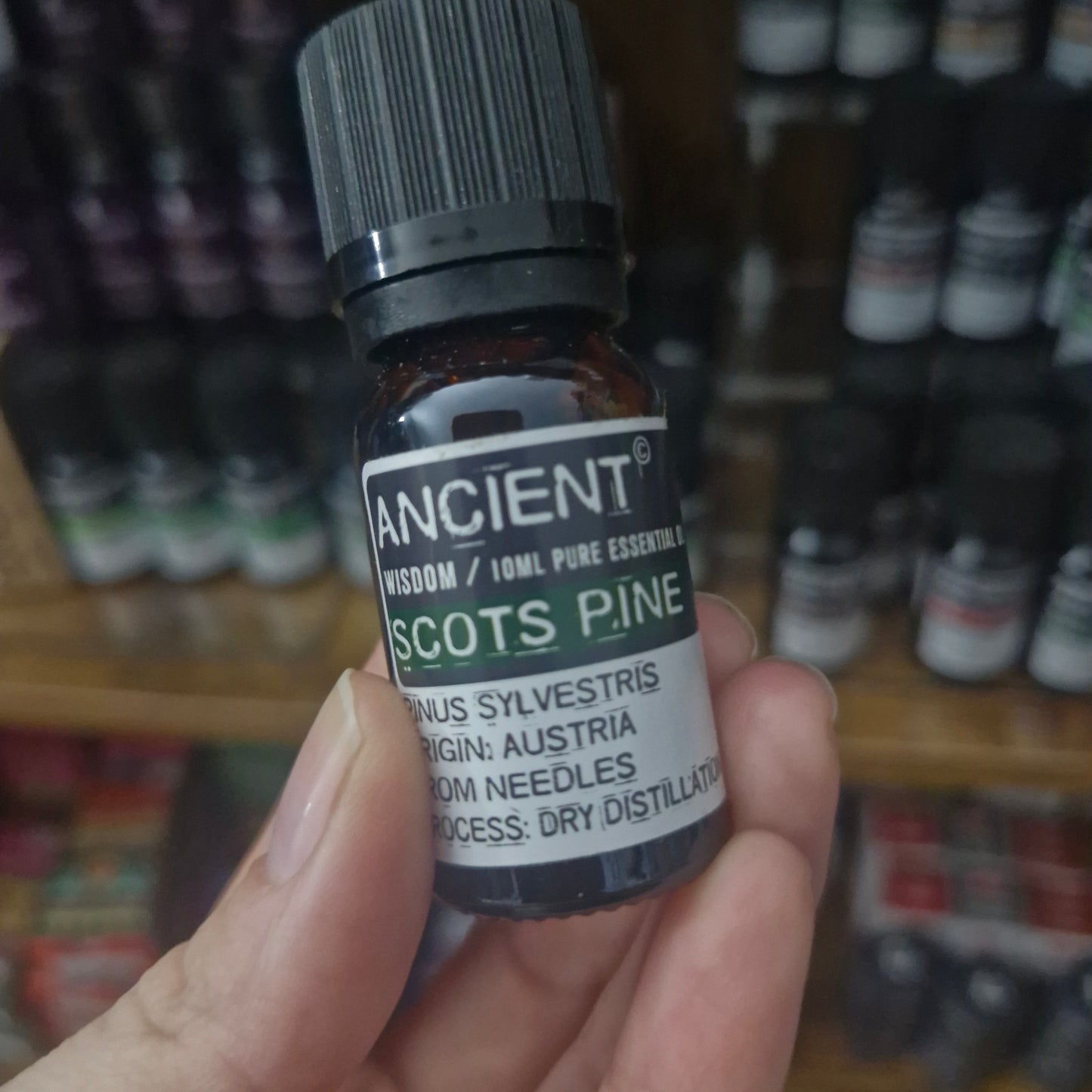 Scot's Pine essential oil (10ml)