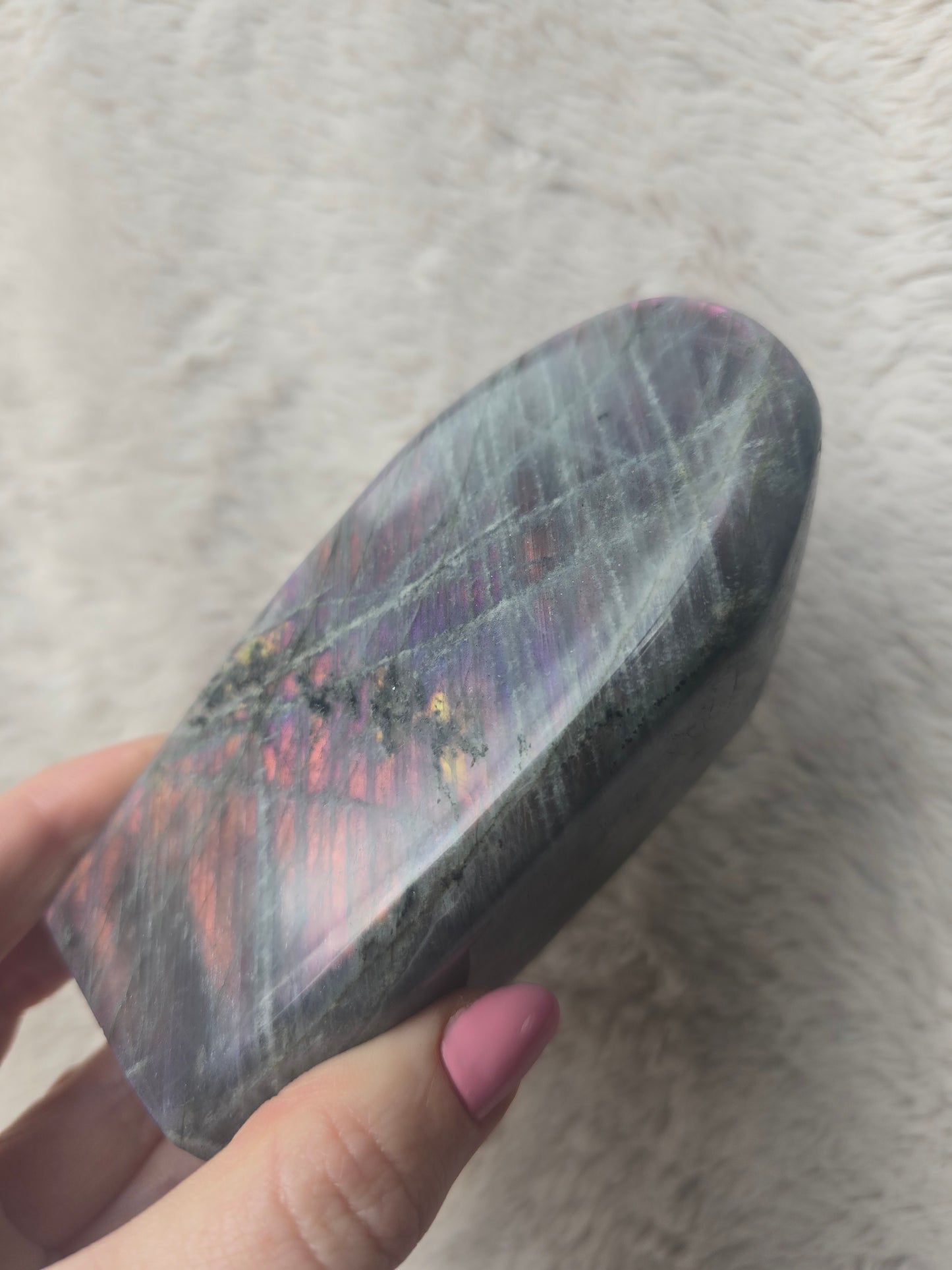 Purple/pink lab - 12cm