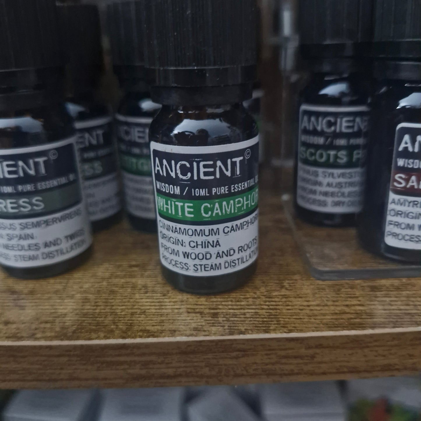 White Camphor essential oil 10ml
