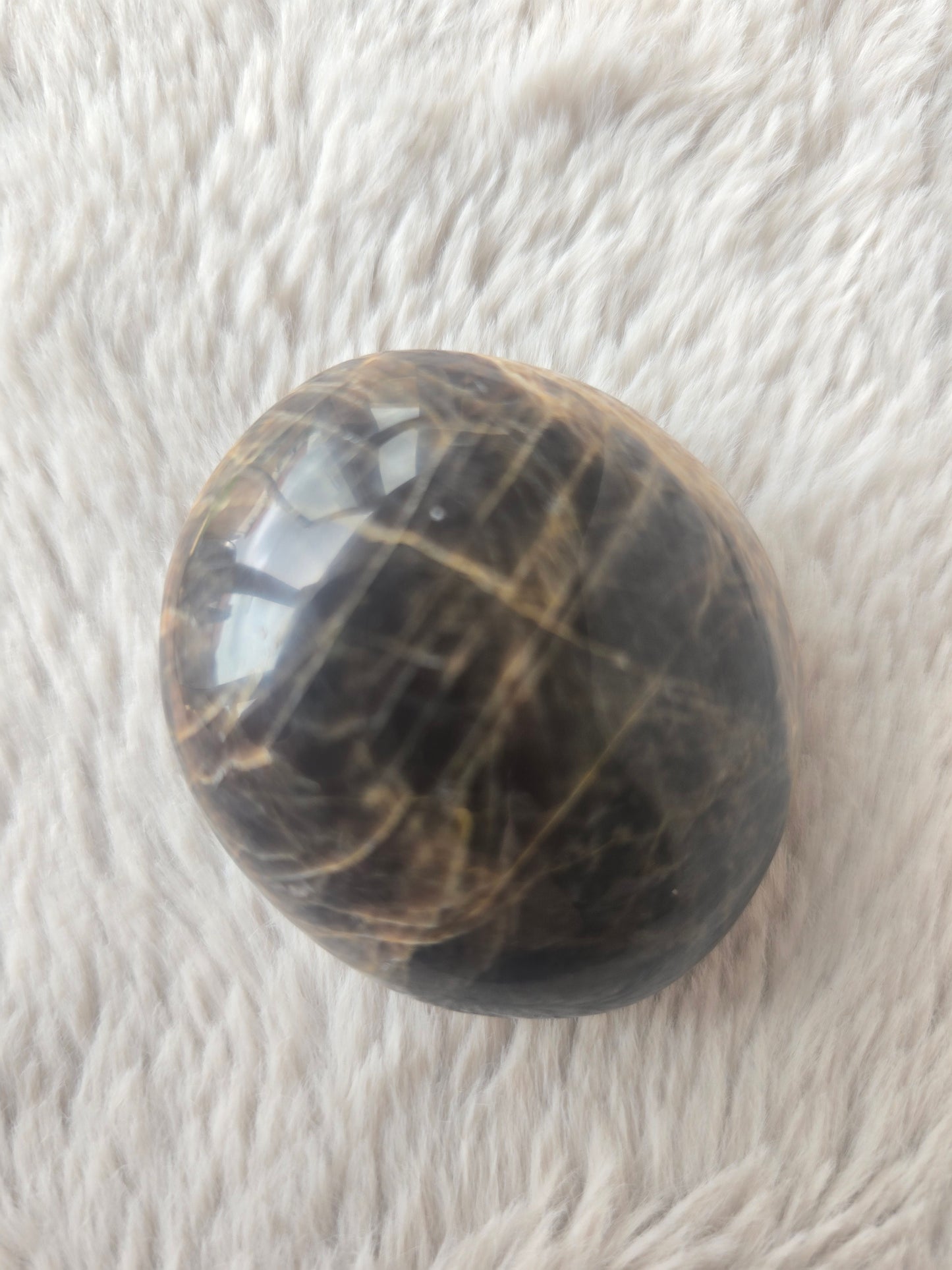 Black Moonstone mini palms