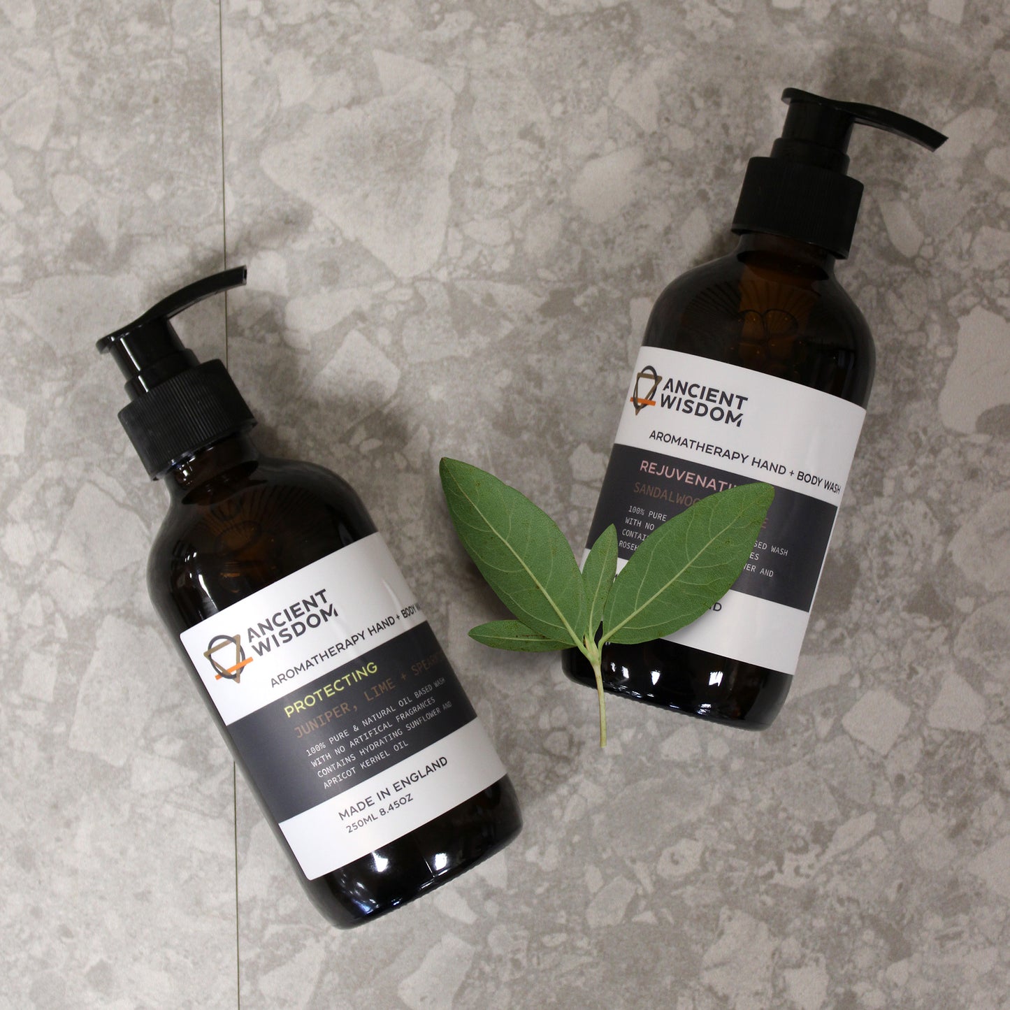 Ancient Wisdom Nourishing Hand and Body Wash - Tangerine Ylang and Patchouli