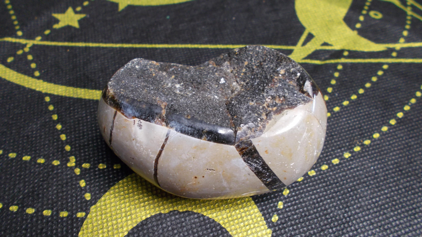 Septarian geode (17)