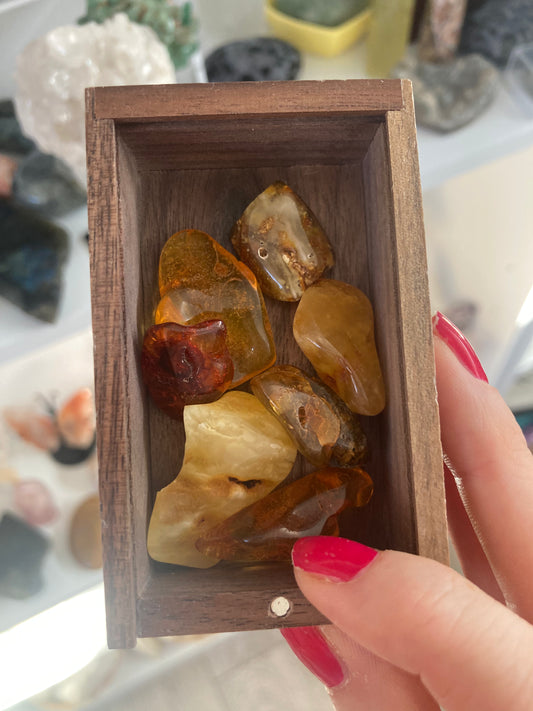 Amber pieces