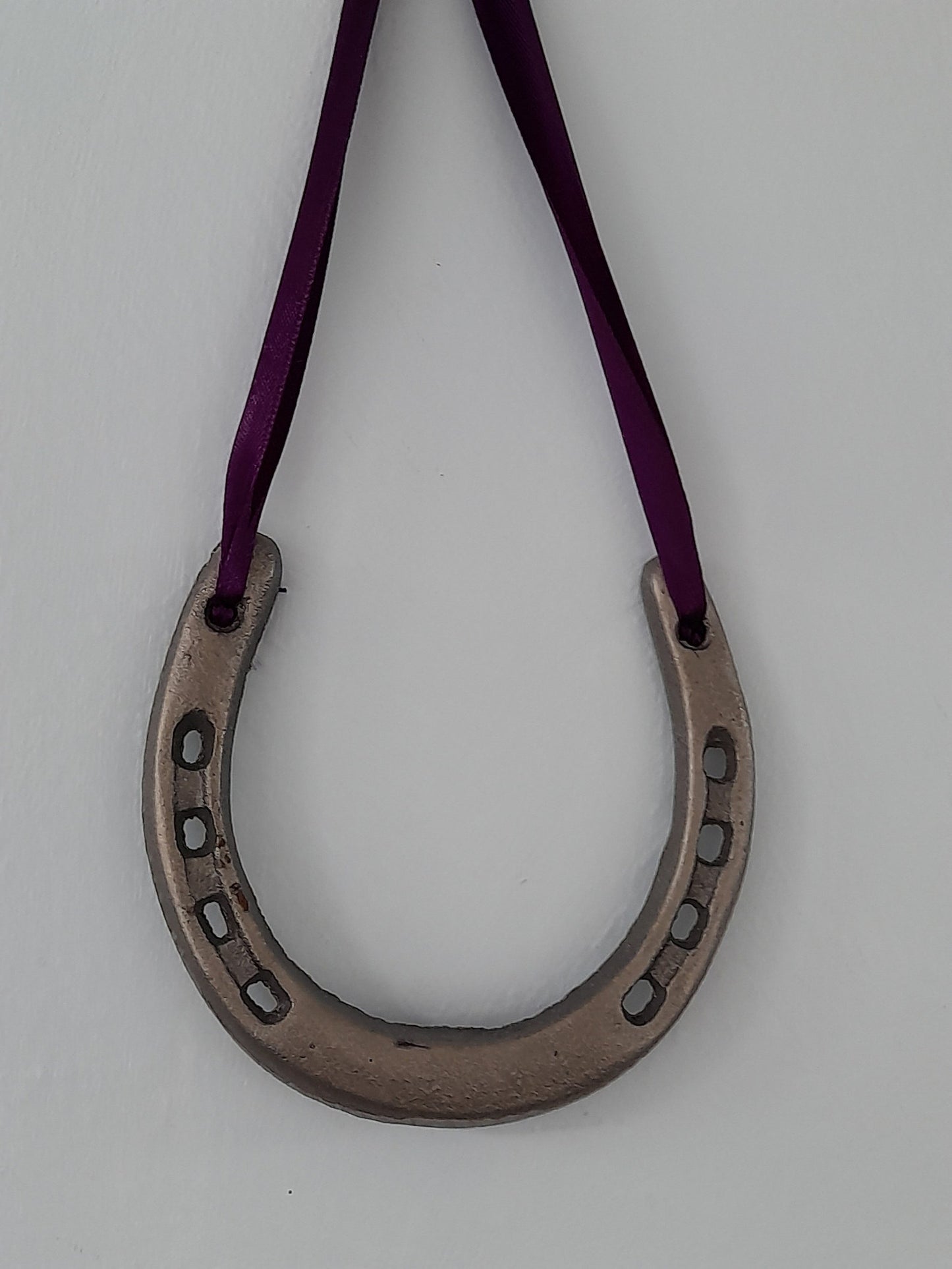 Horseshoe  hanging