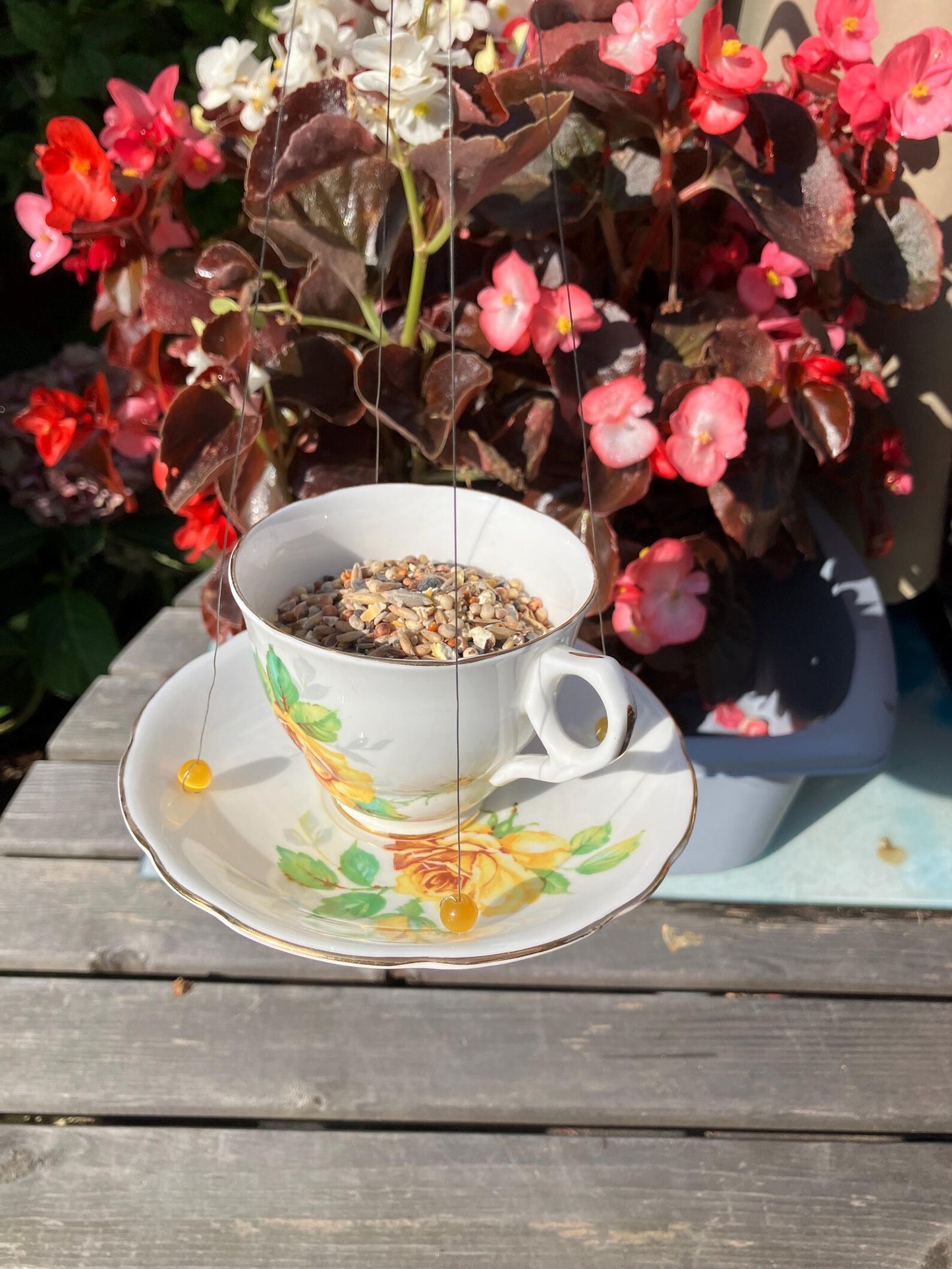 Teacup bird feeders
