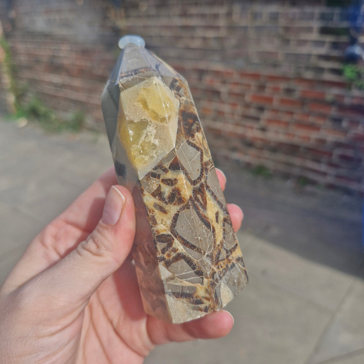 Septarian Chunky Tower 11cm 264g
