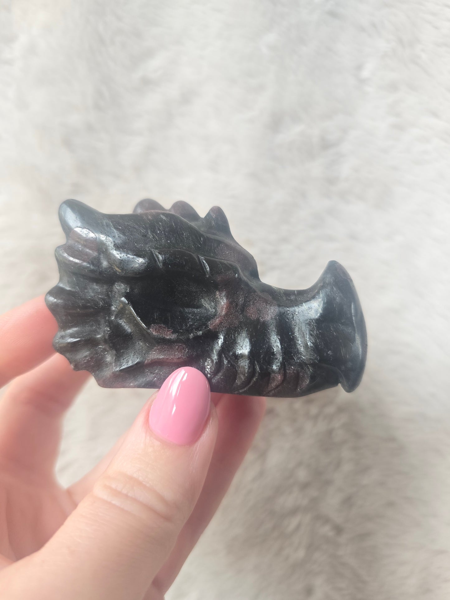 Dragons head