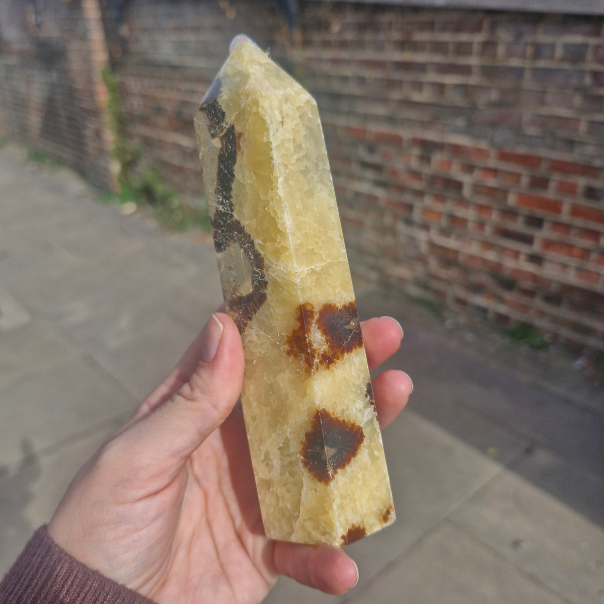 Septarian Chunky Tower 16cm 426g