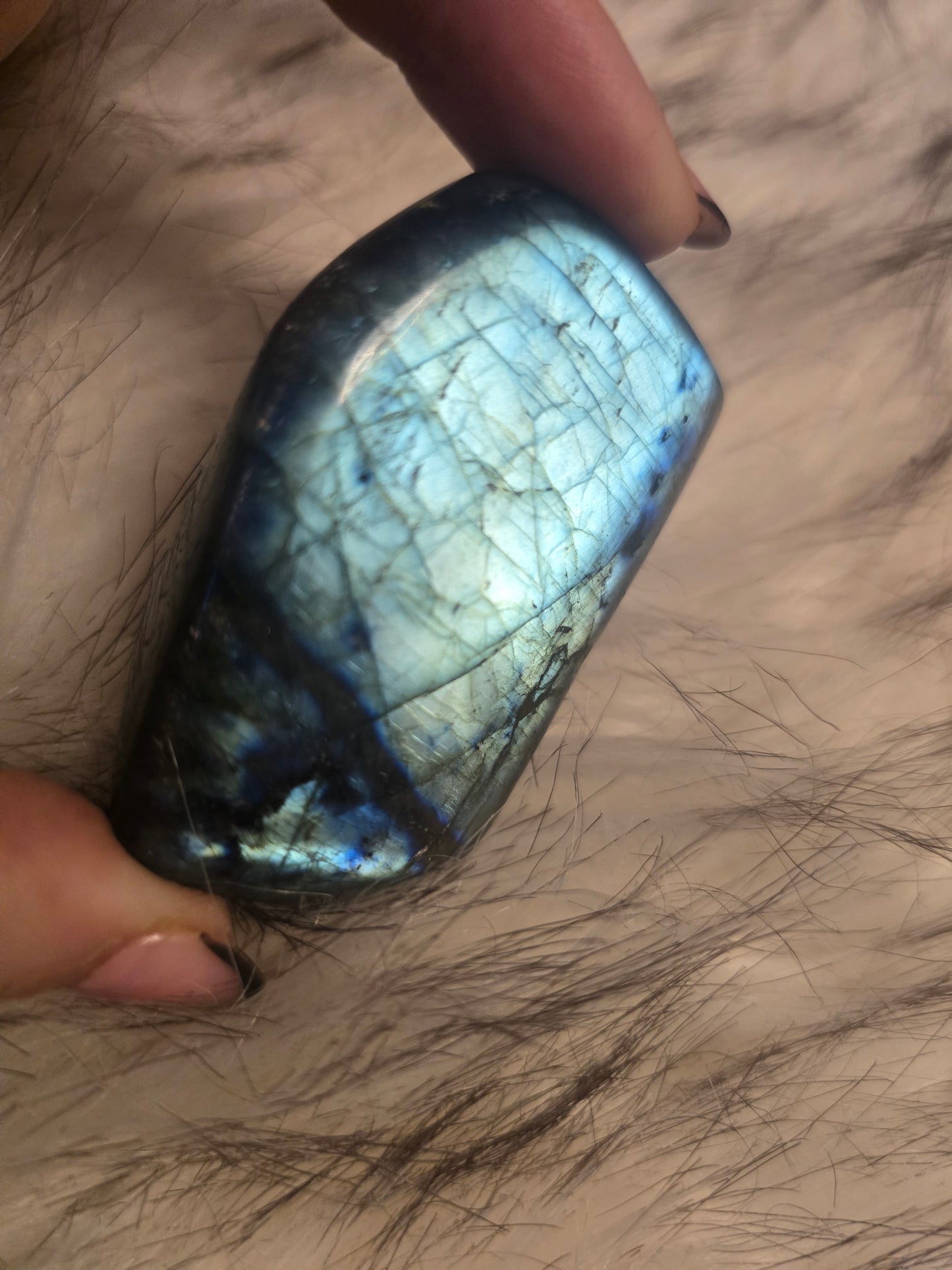 Labradorite free form