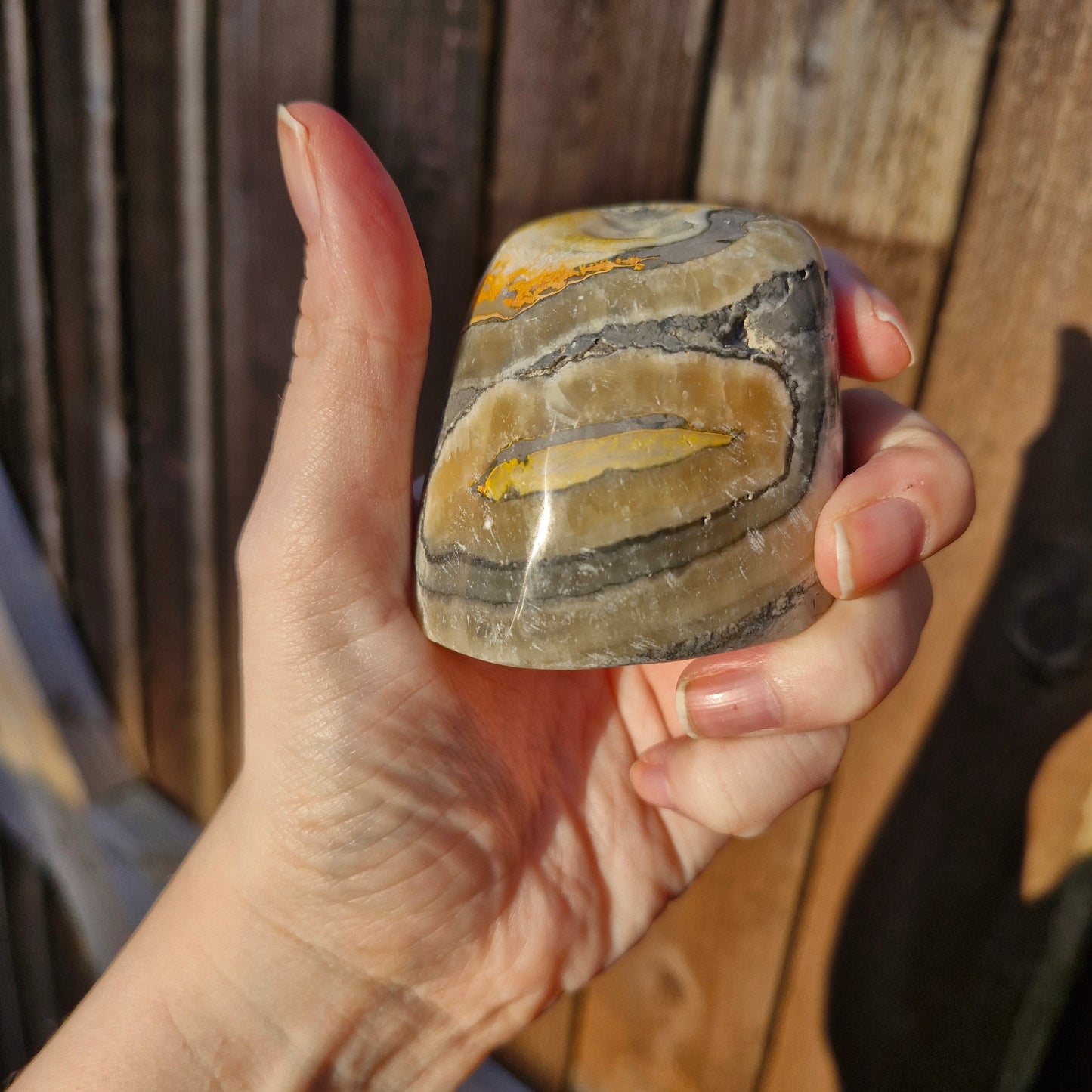 Bumblebee jasper freeform