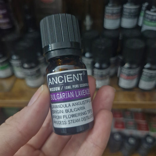 Bulgarian Lavender essential oil 10ml