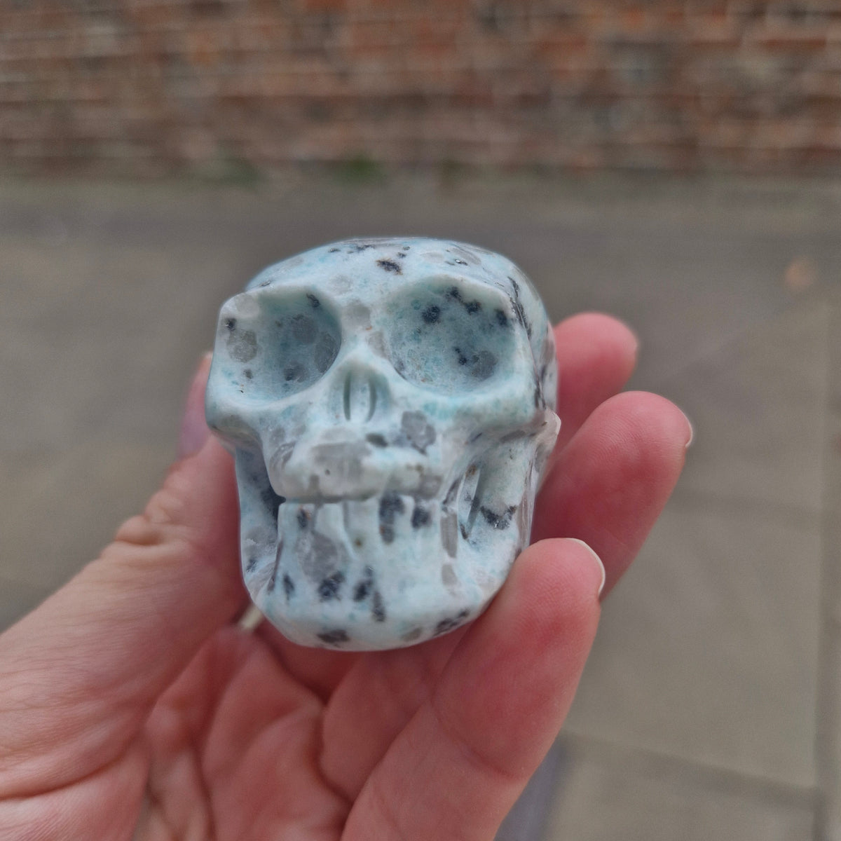 Kiwi Jasper Skull 121g