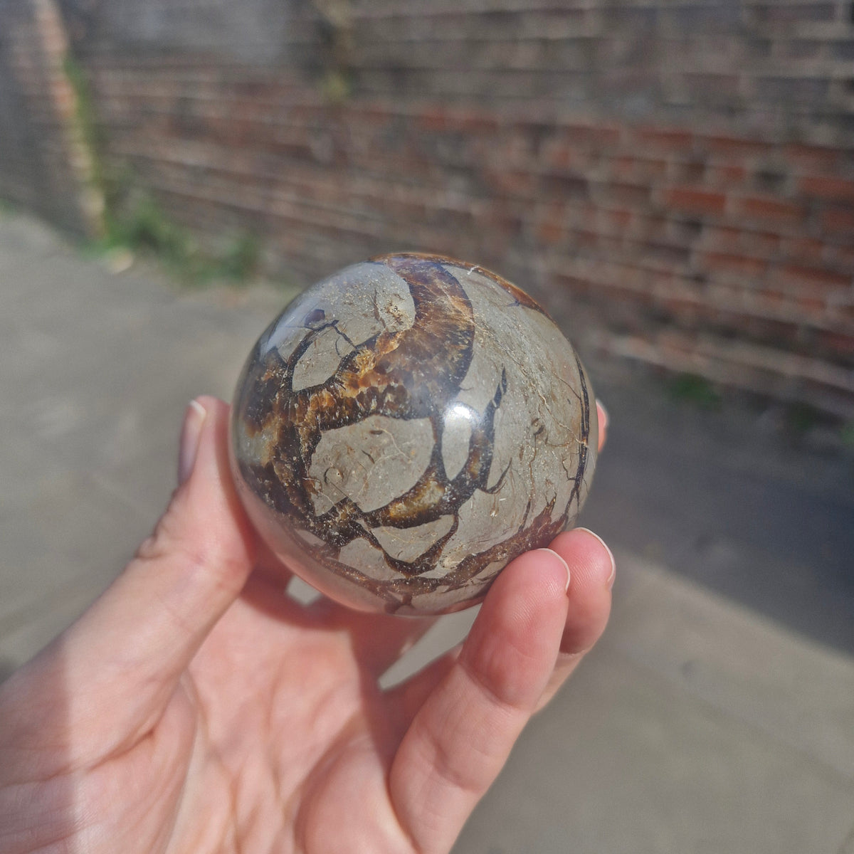 Septarian Sphere 258g 6cm