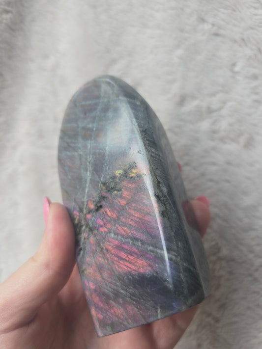 Purple/pink lab - 12cm