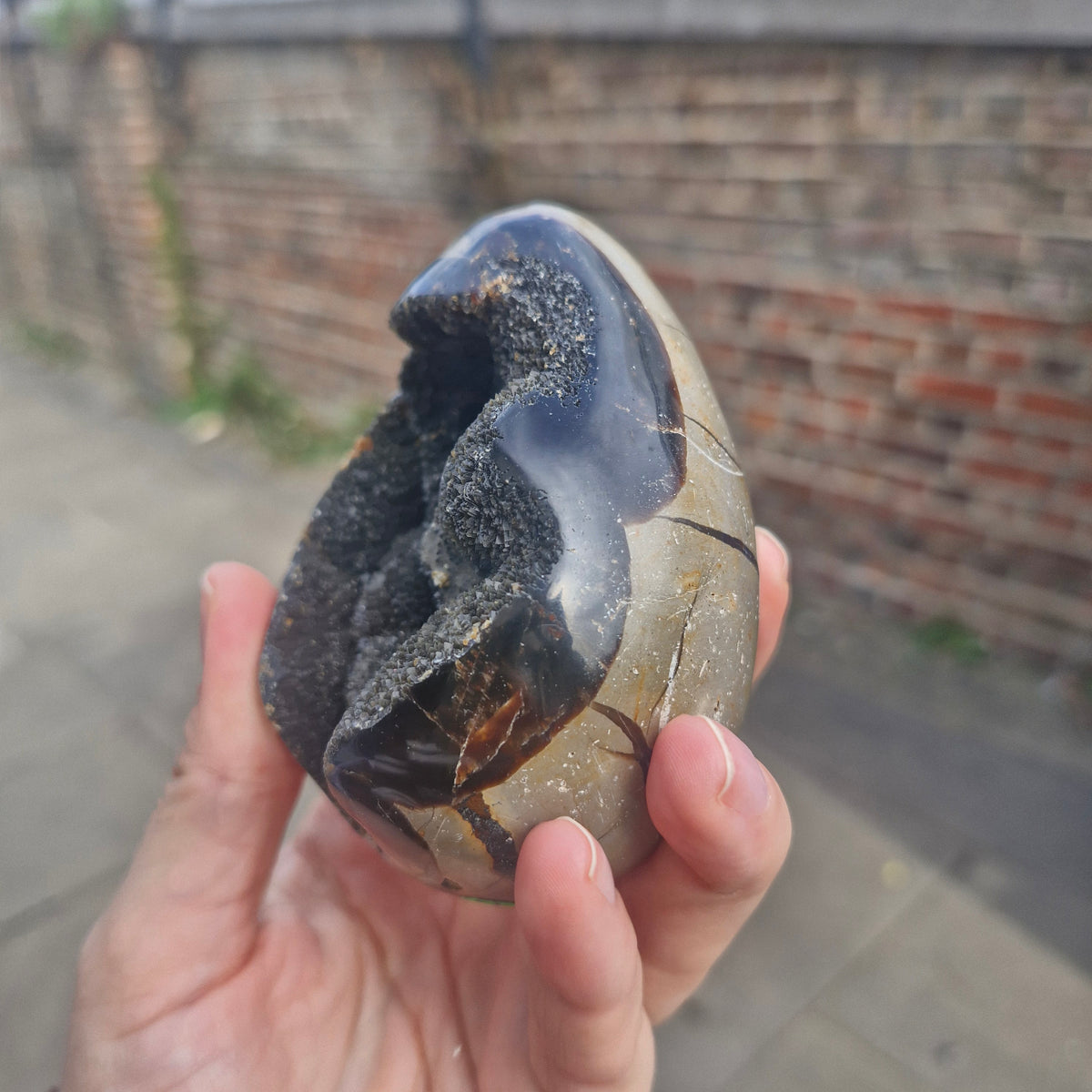 Septarian Geode Egg with Calcite Inclusions 391g