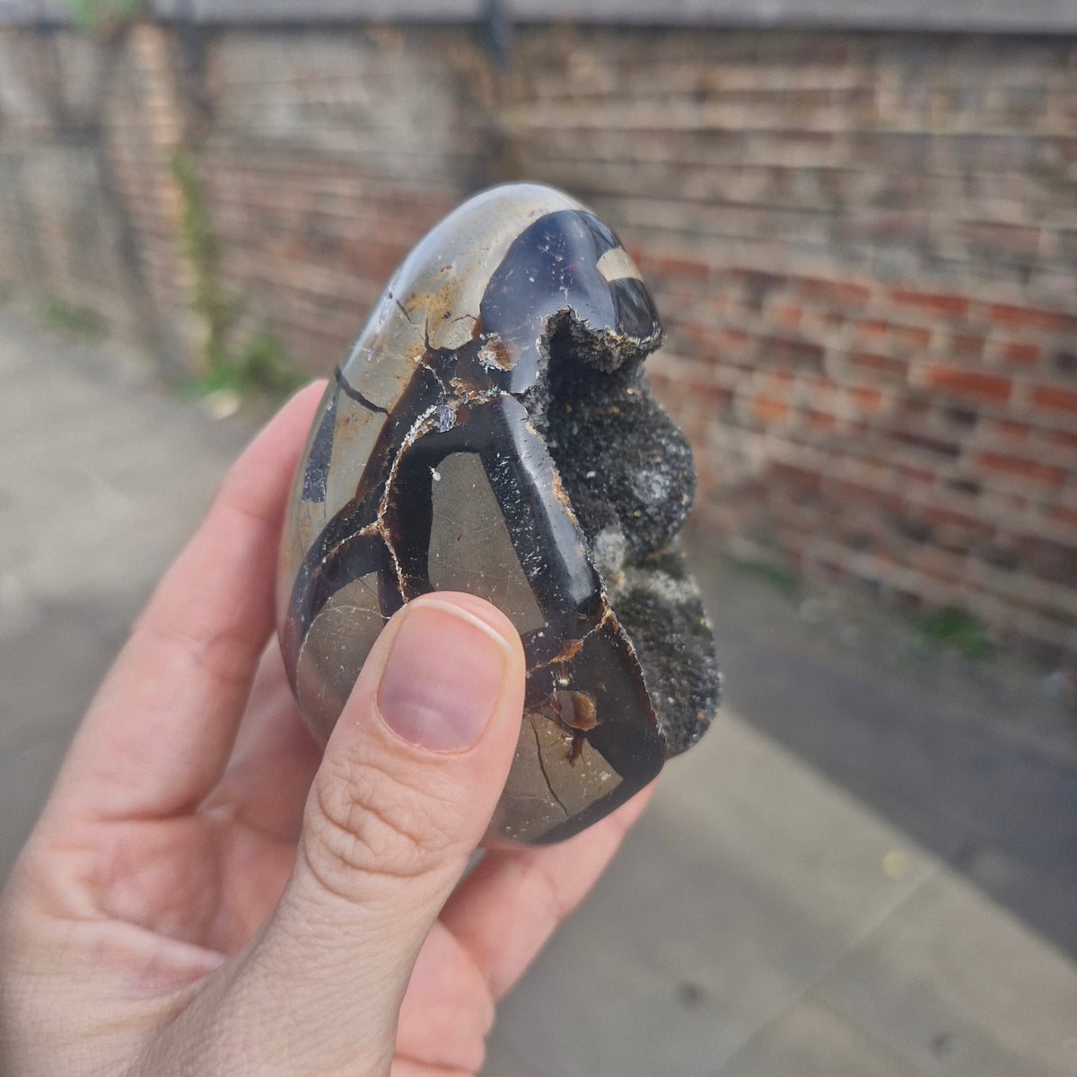 Septarian Geode Egg with Calcite Inclusions 391g