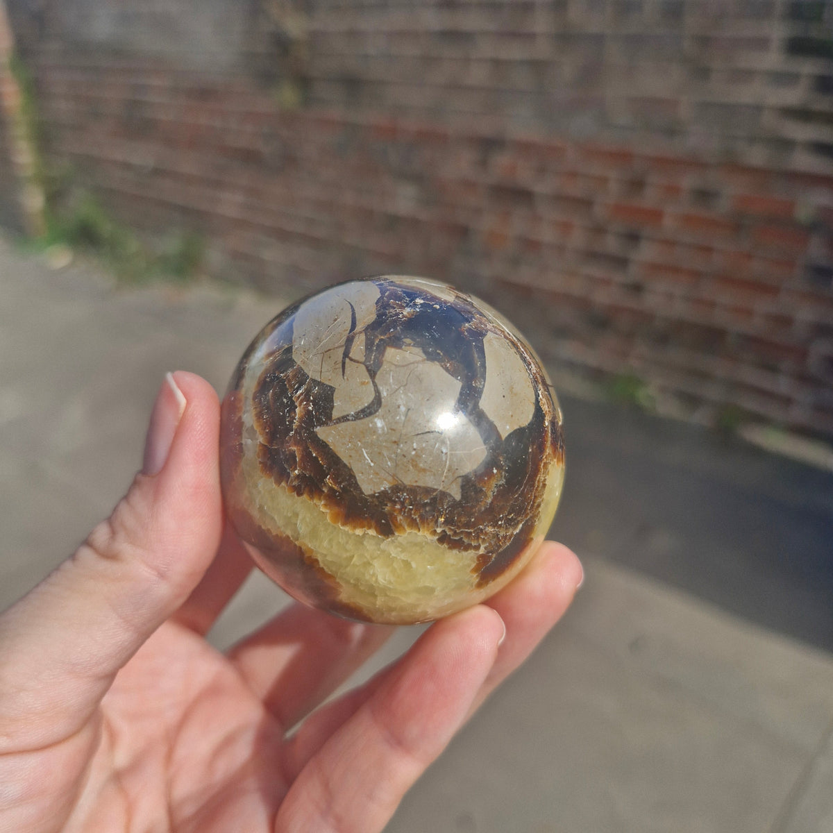 Septarian Sphere 216g 5.5cm
