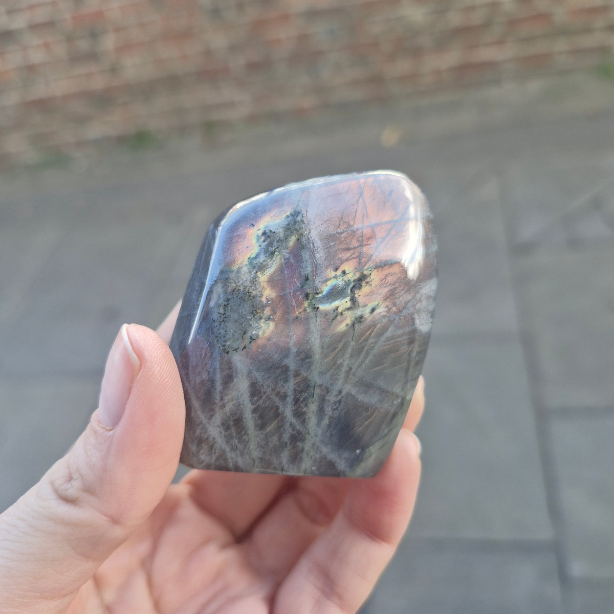 Labradorite freeform Purple/Pink/Orange/Yellow Flash - 134g 5.4cm Tall