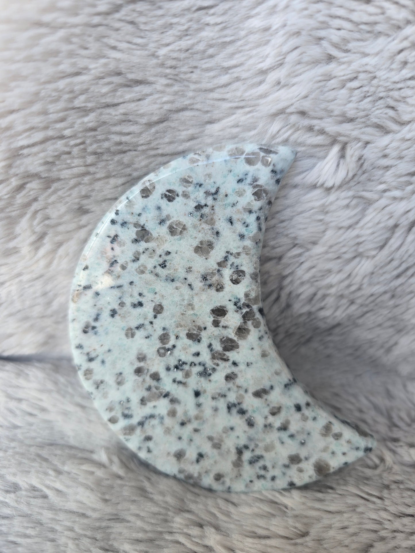 Kiwi Jasper Moon