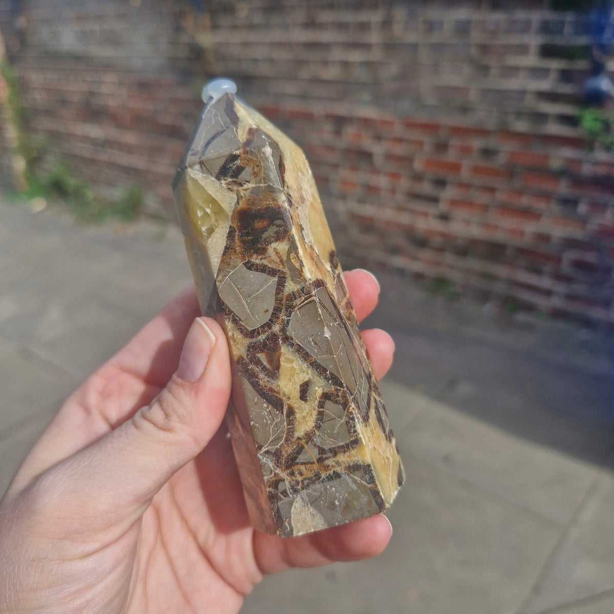 Septarian Chunky Tower 11cm 264g