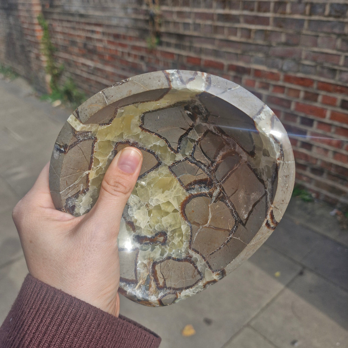 Septarian Crystal Bowl 14.5cm 858g