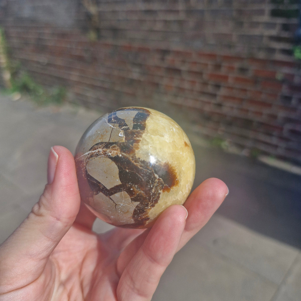 Septarian Sphere 216g 5.5cm