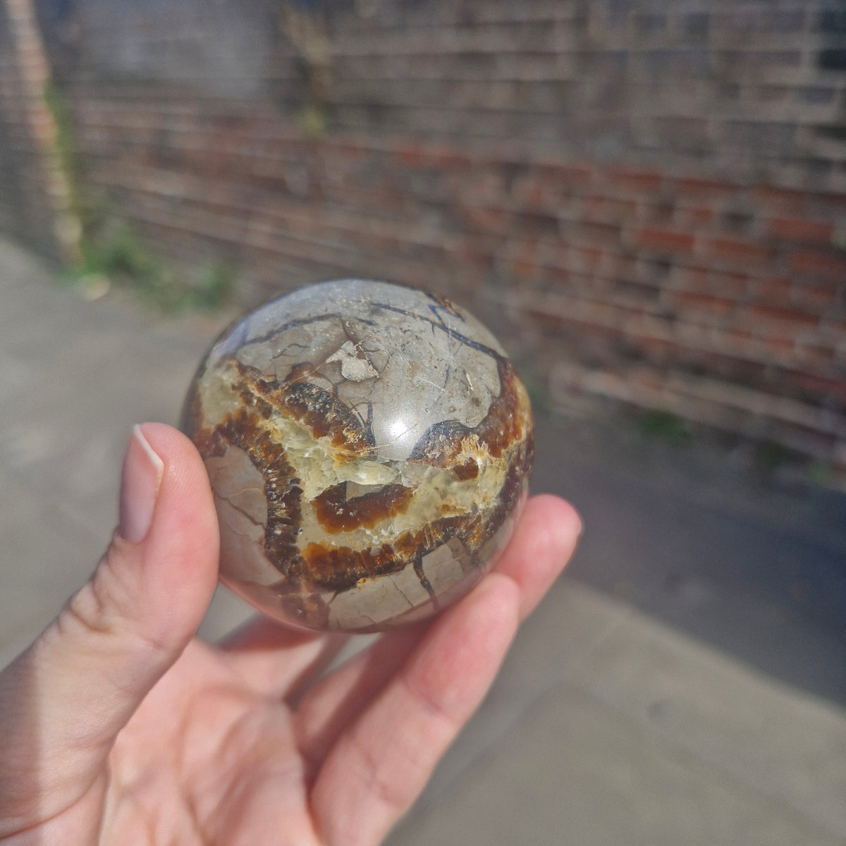 Septarian Sphere 258g 6cm