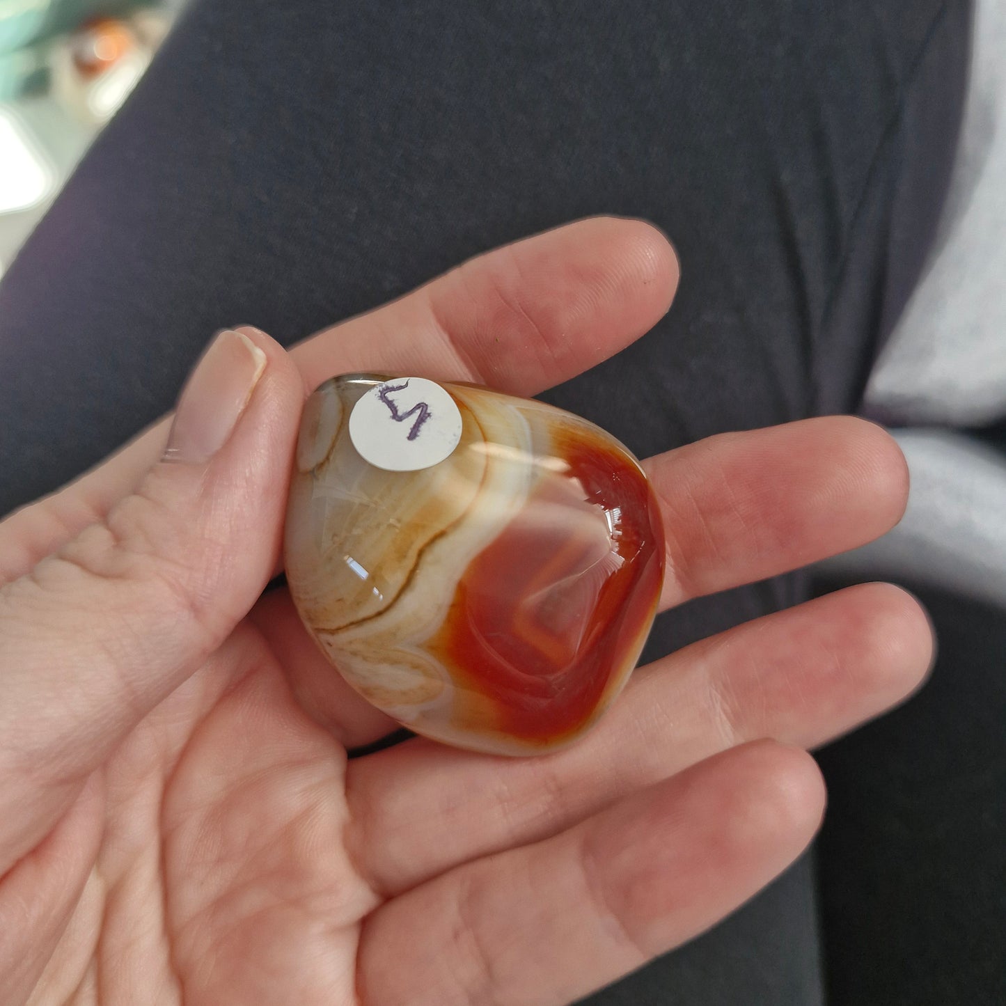 Sardonyx palm stones/ mini palms