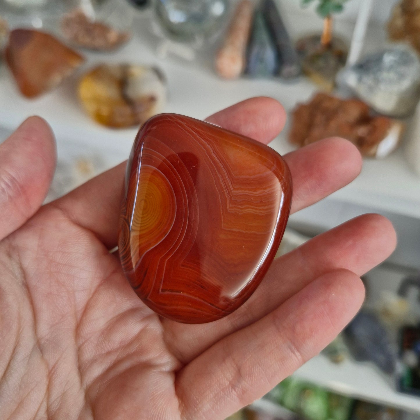 Sardonyx palm stones/ mini palms