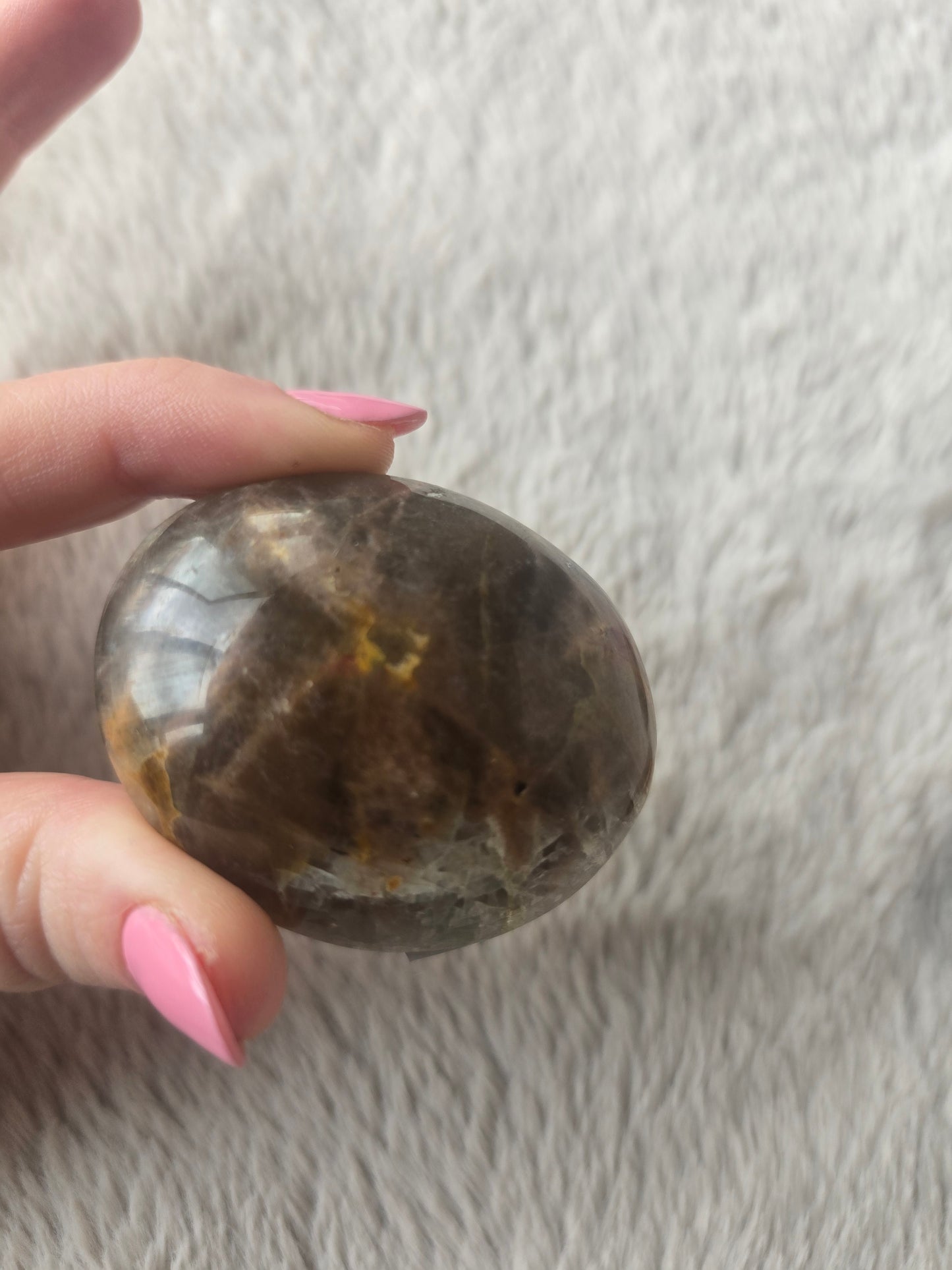 Black Moonstone mini palms