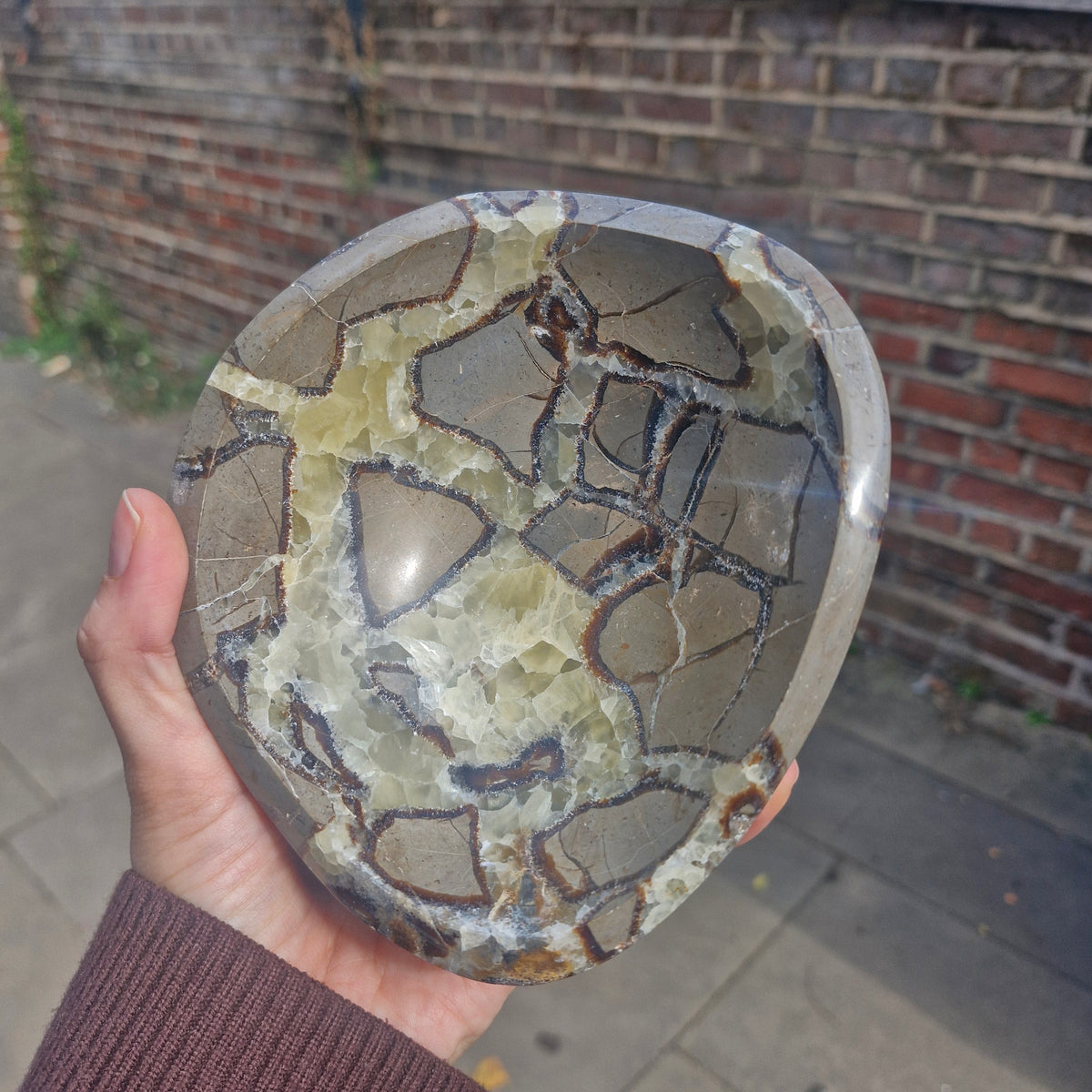 Septarian Crystal Bowl 14.5cm 858g