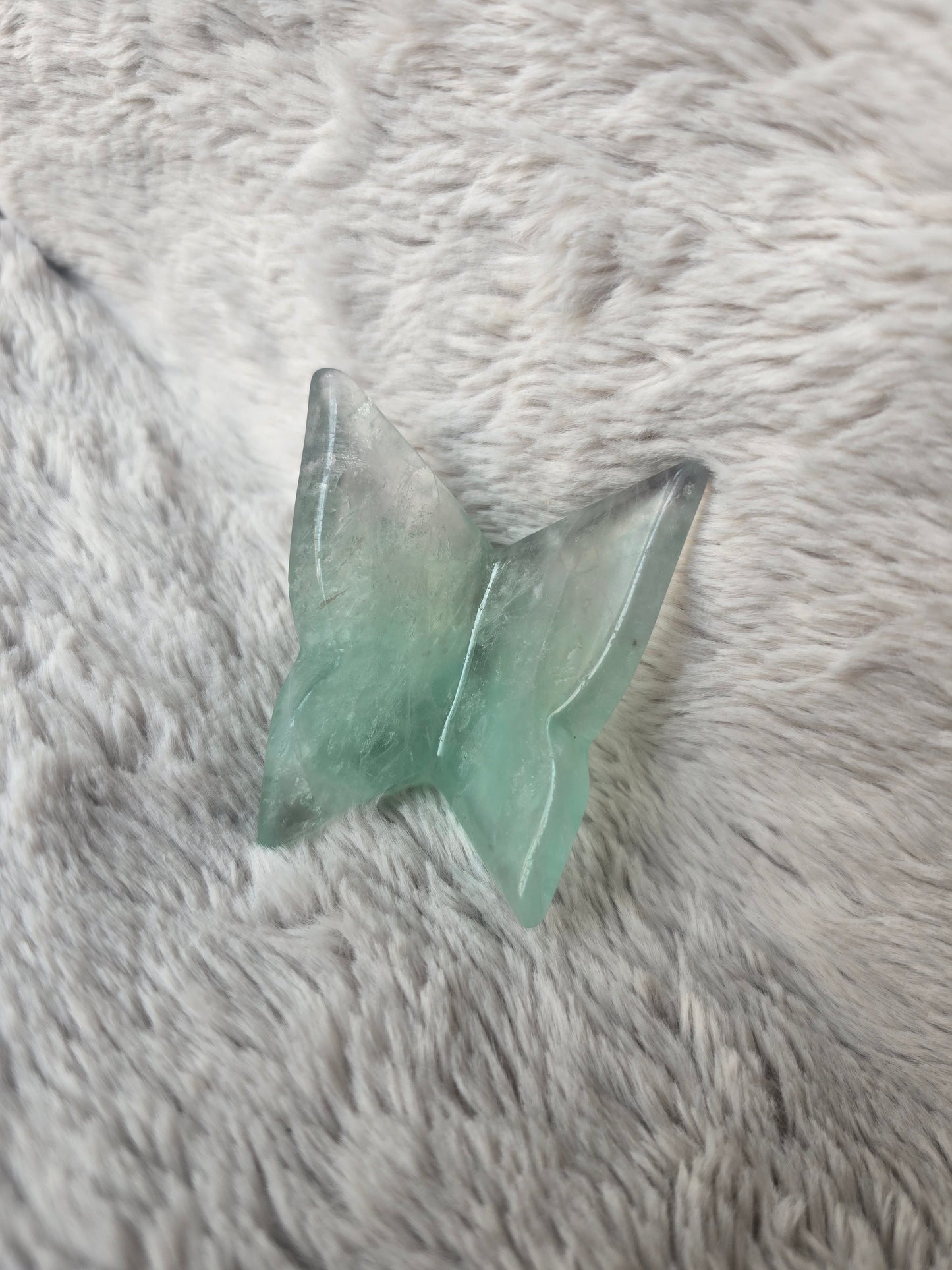 Fluorite butterfly