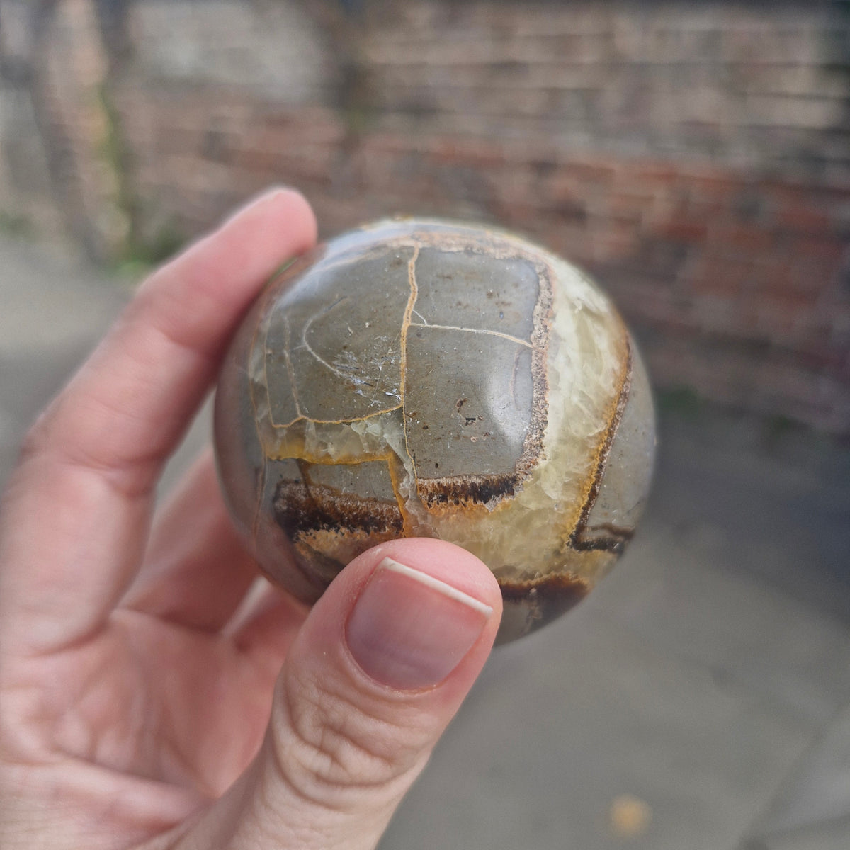 Septarian Sphere 270g 6cm