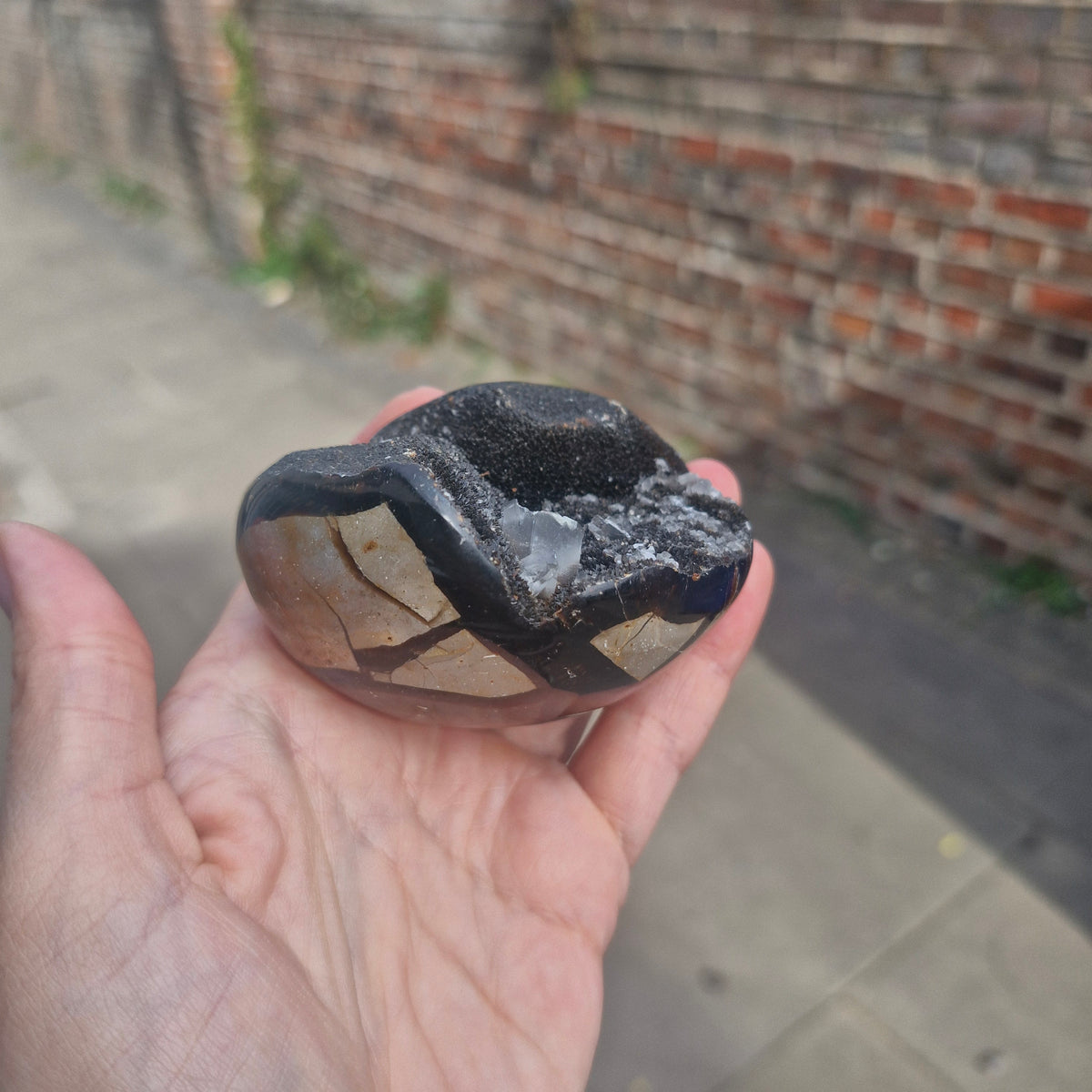 Septarian Geode with Calcite Inclusions 265g