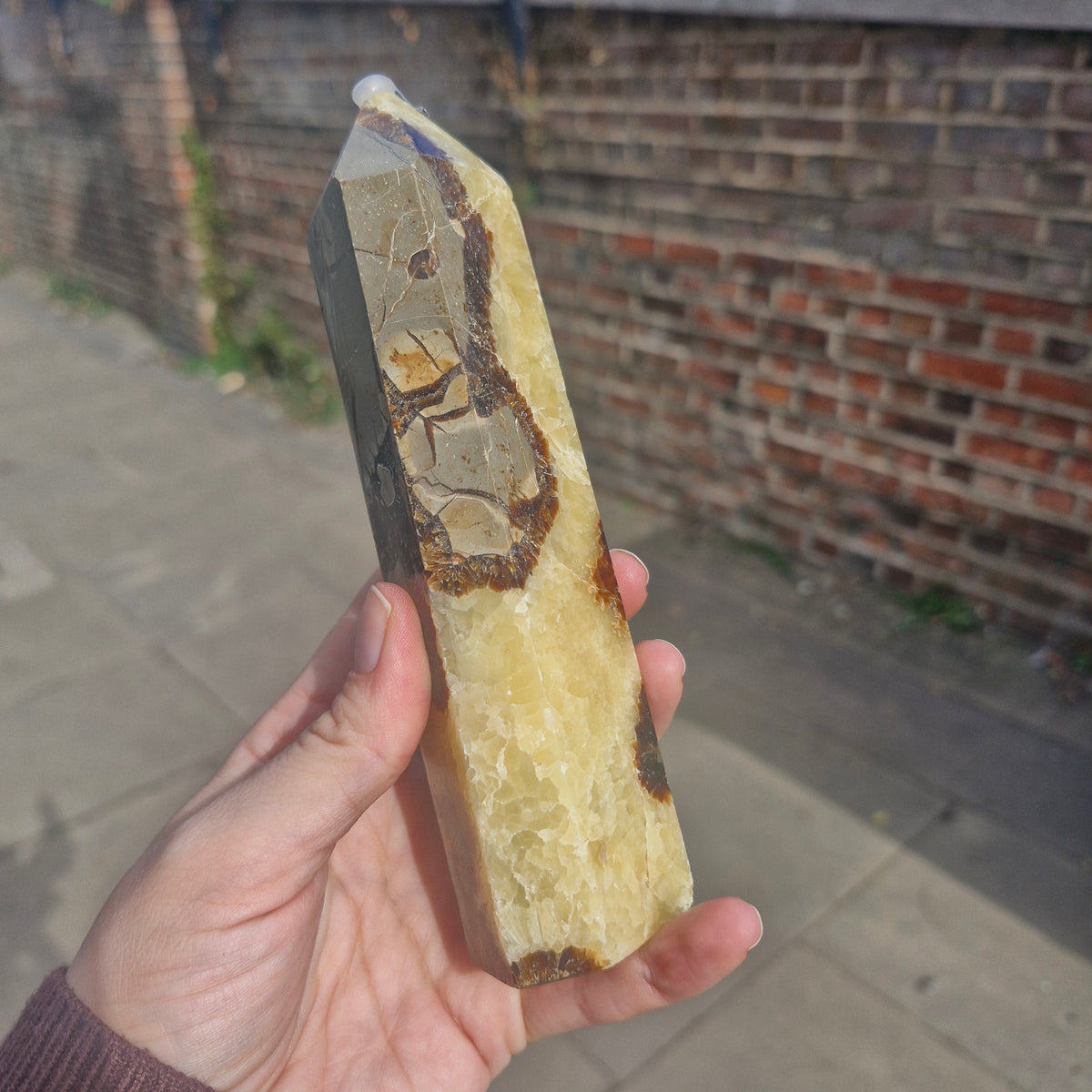 Septarian Chunky Tower 16cm 426g