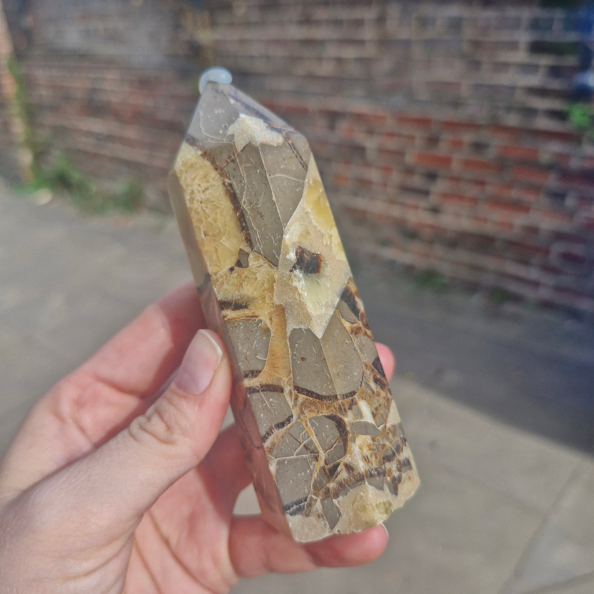 Septarian Chunky Tower 11cm 264g