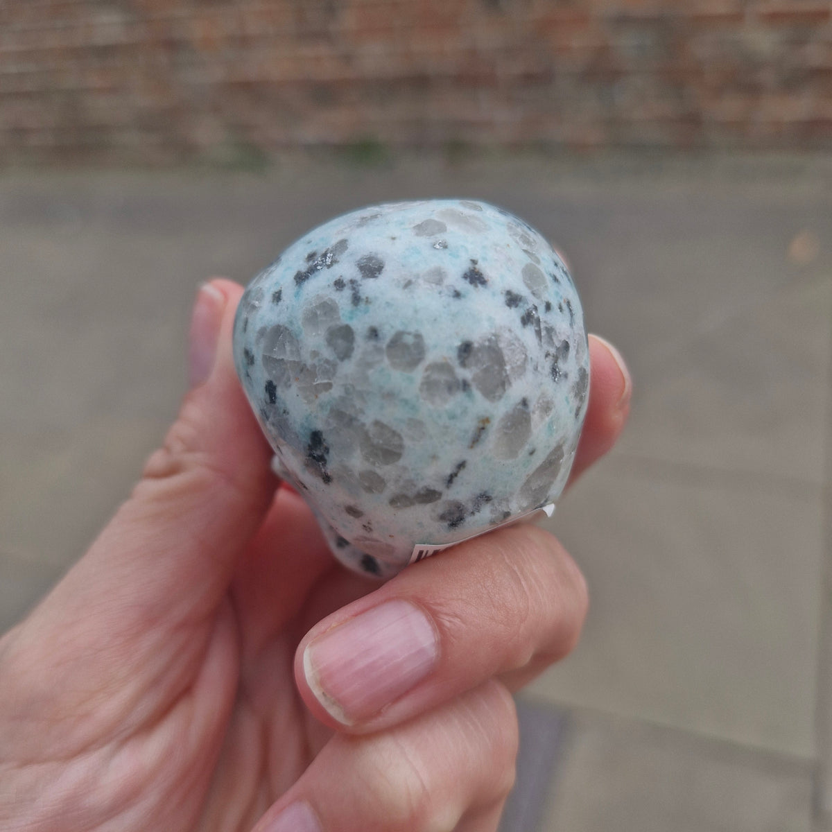 Kiwi Jasper Skull 121g