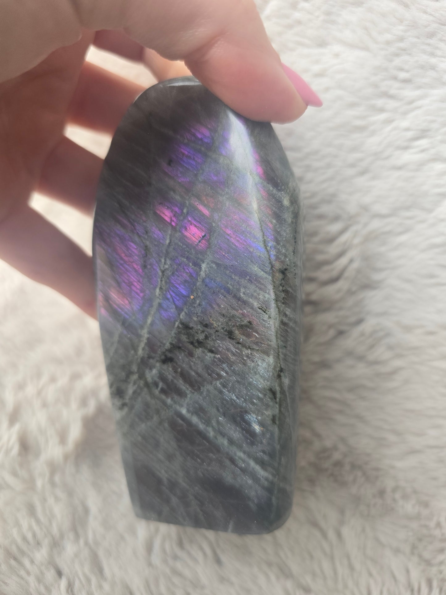 Purple/pink lab - 12cm
