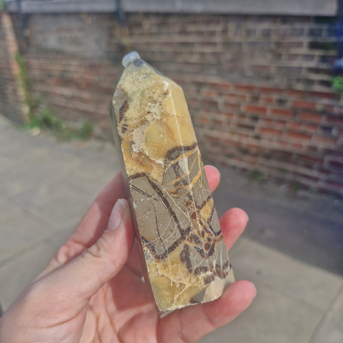 Septarian Chunky Tower 11cm 264g
