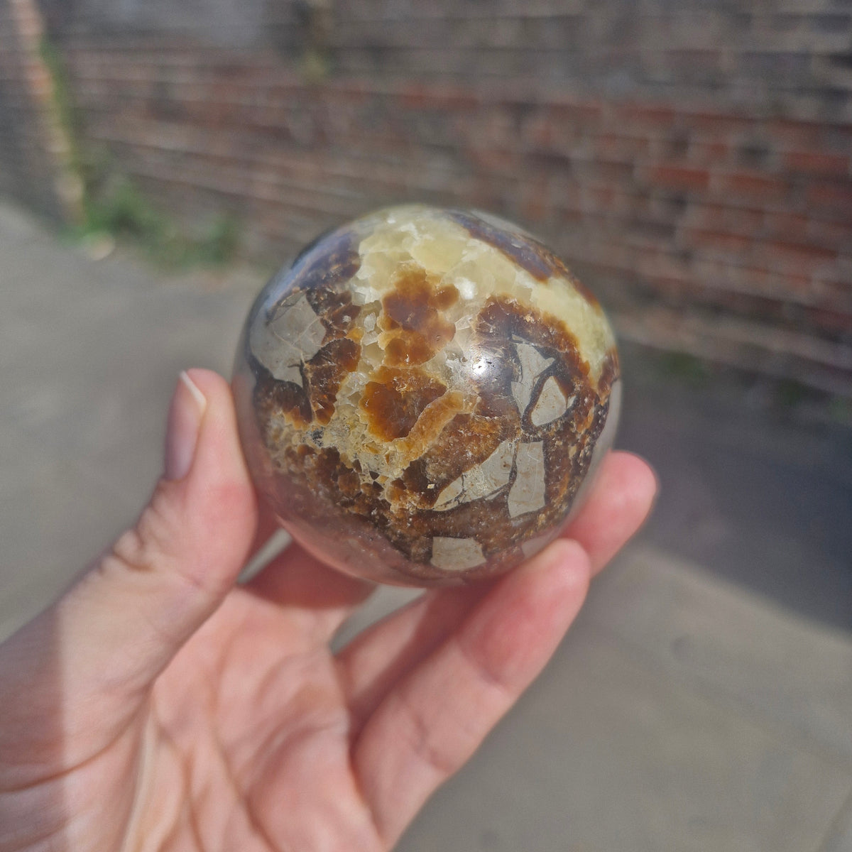 Septarian Sphere 258g 6cm
