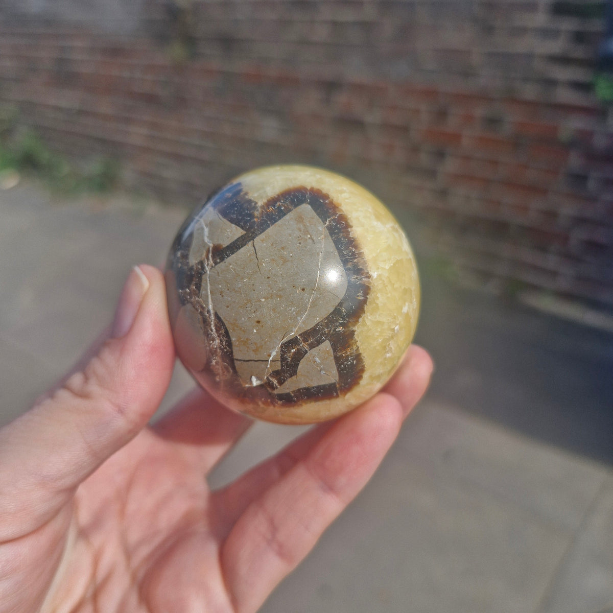Septarian Sphere 216g 5.5cm