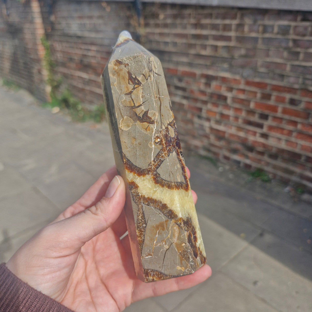 Septarian Chunky Tower 16cm 426g