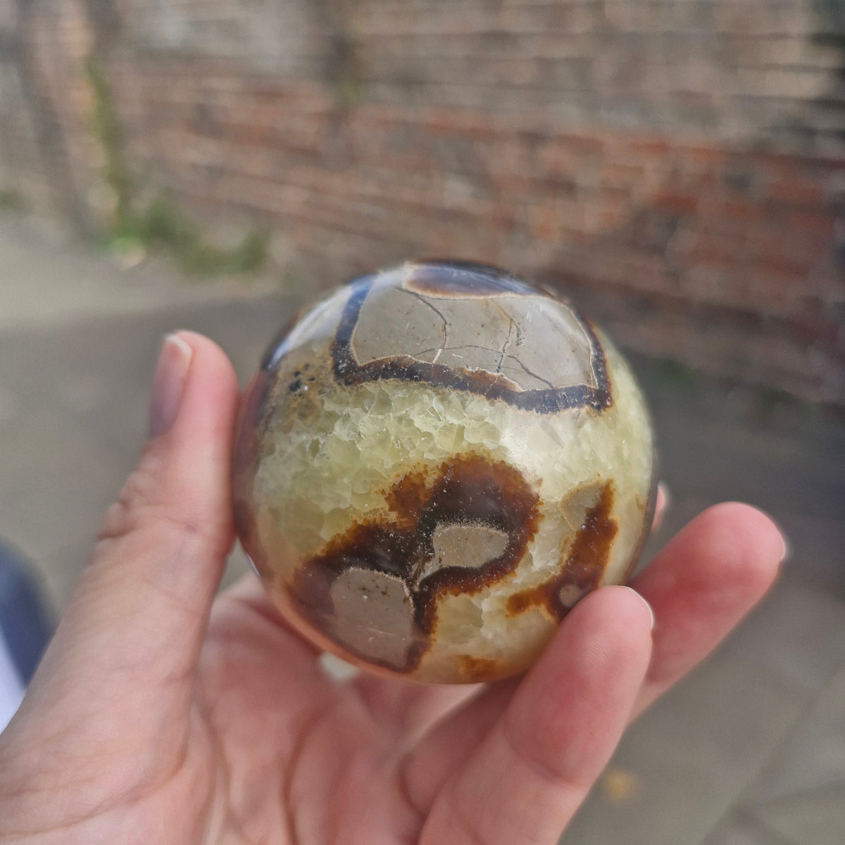 Septarian Sphere 270g 6cm