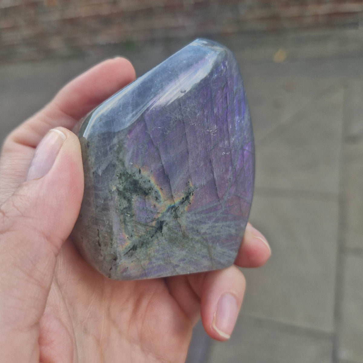 Labradorite freeform Purple/Blue/Pink/Yellow Flash - 254g 6.4cm tall